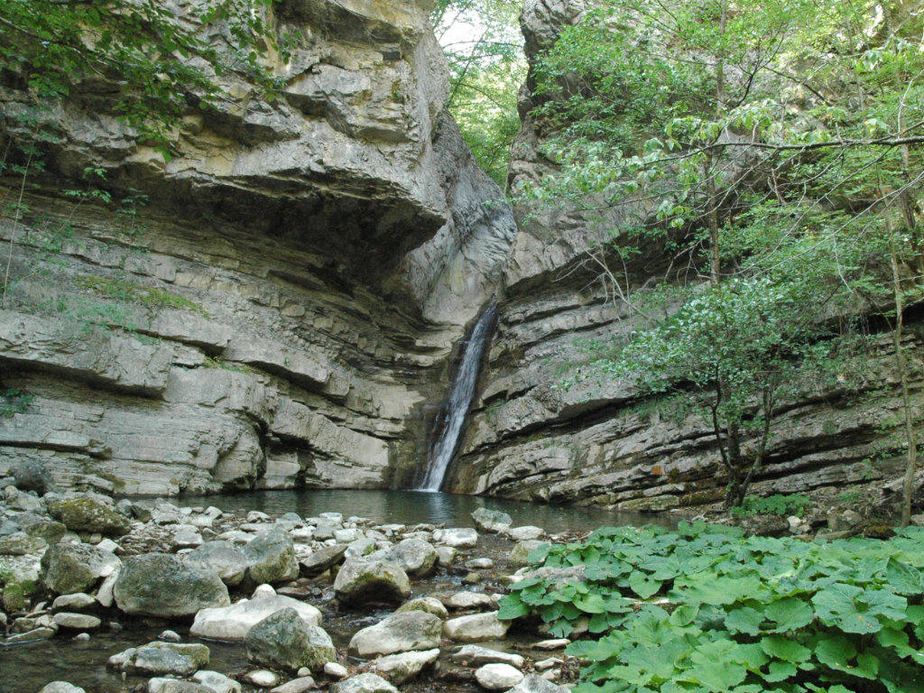 Una cascatella si tuffa in un laghetto fluviale in mezzo al bosco.