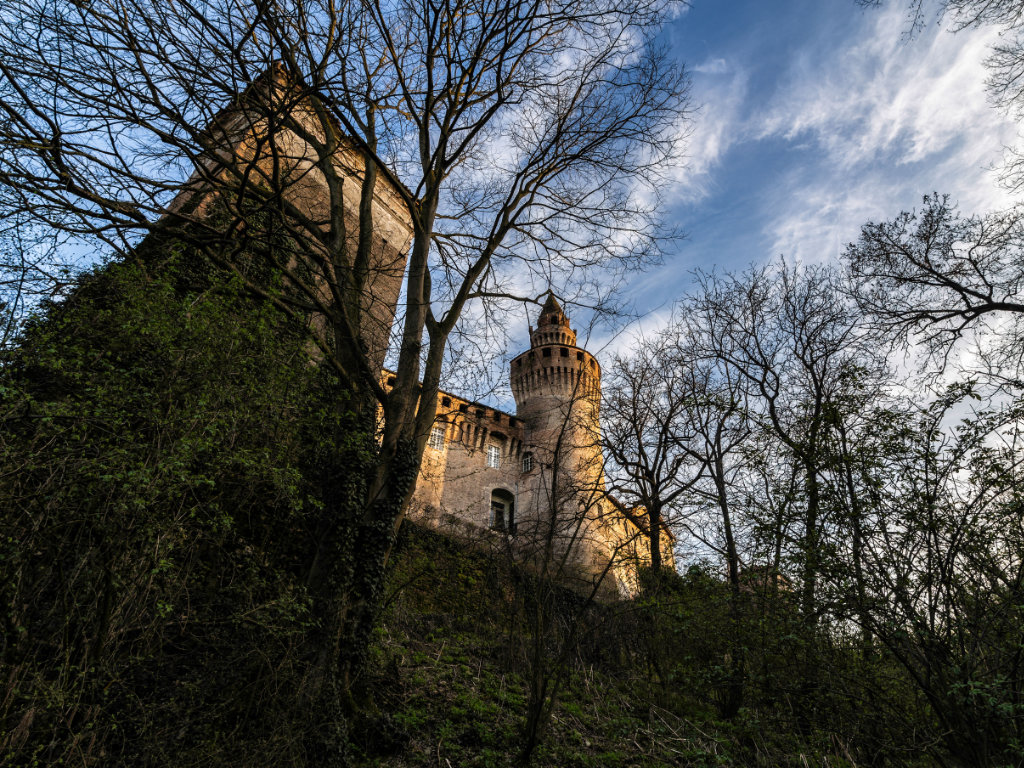 Il castello di Rivalta visto dal bosco: le torri si intravedono tra gli alberi sullo sfondo del cielo